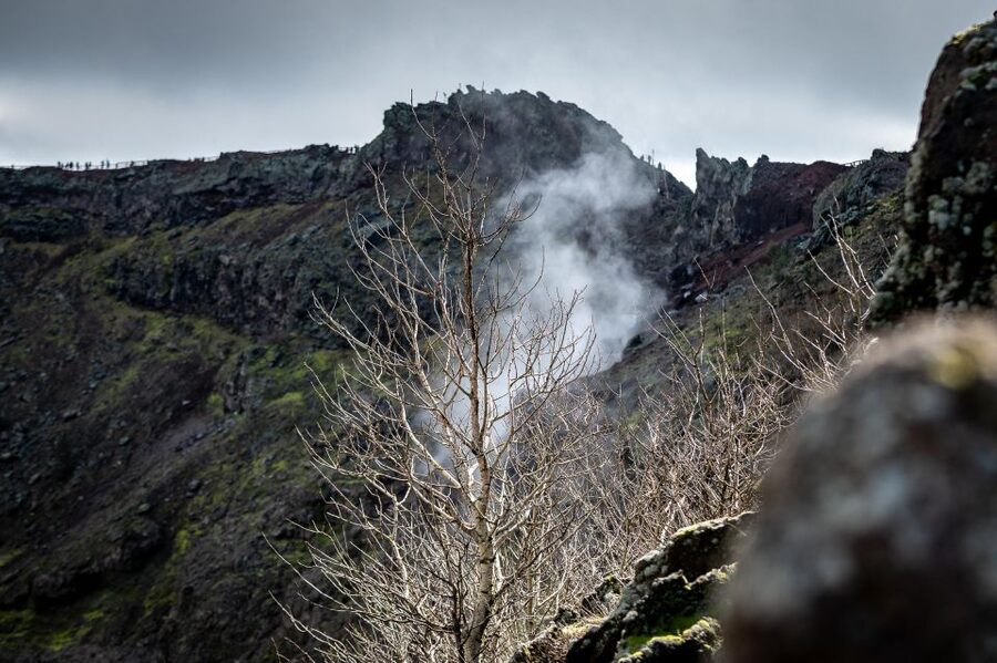 From Sorrento: Pompeii and Vesuvius Guided Tour with Lunch - Who this tour suits best (and who should think twice)