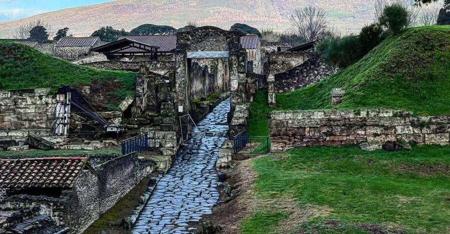 From Sorrento: Pompeii and Vesuvius Skip-the-Line Tour - Key highlights to know before you go