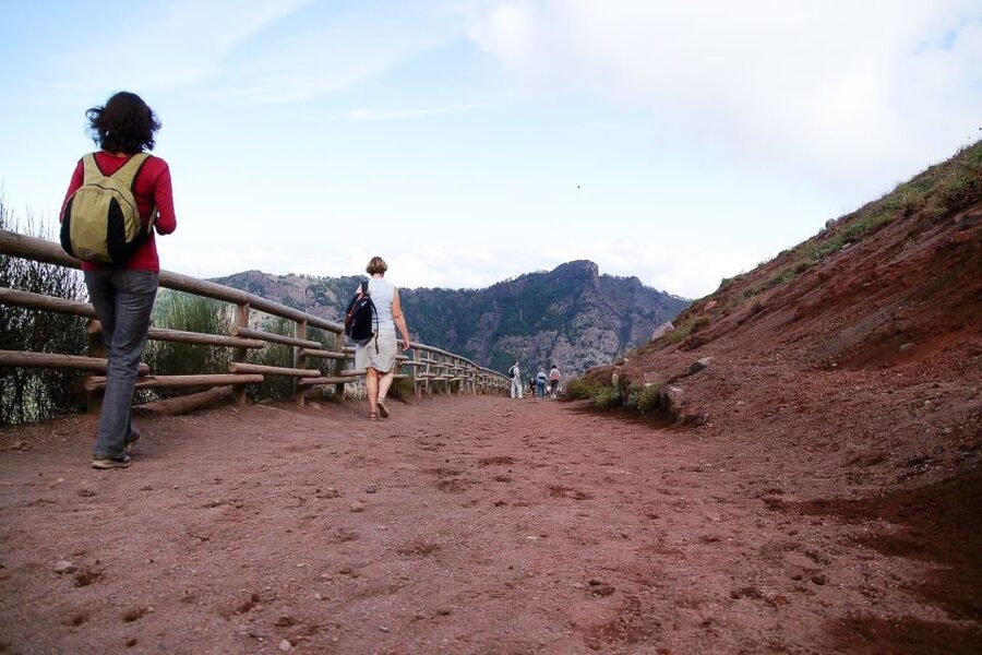 From Sorrento: Pompeii and Vesuvius Tour - The Bus Hop to Vesuvius: Switching From Roman Stones to Volcanic Terrain
