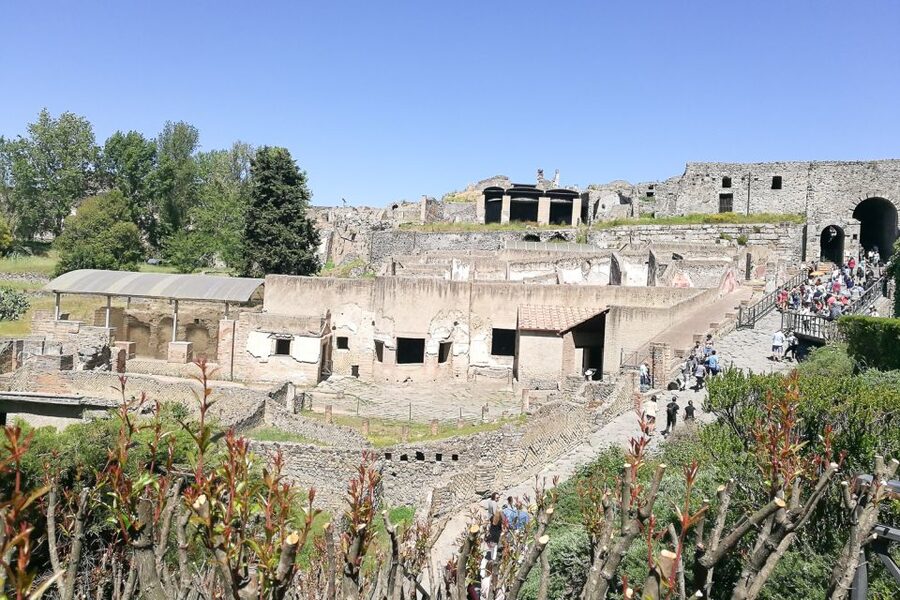From Sorrento: Pompeii and Vesuvius Tour - What You Get for the Money: Value Beyond the Sticker Price