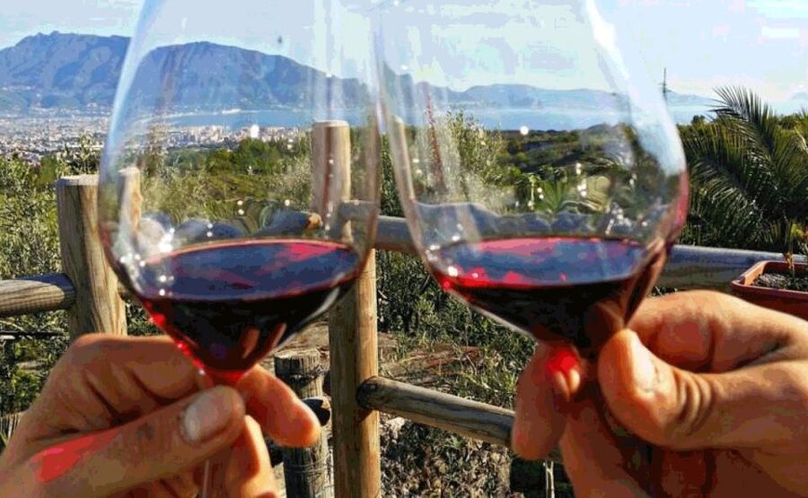 From Sorrento: Pompeii & Mt. Vesuvius Tour with Lunch & Wine - Who this tour is best for (and who should rethink it)