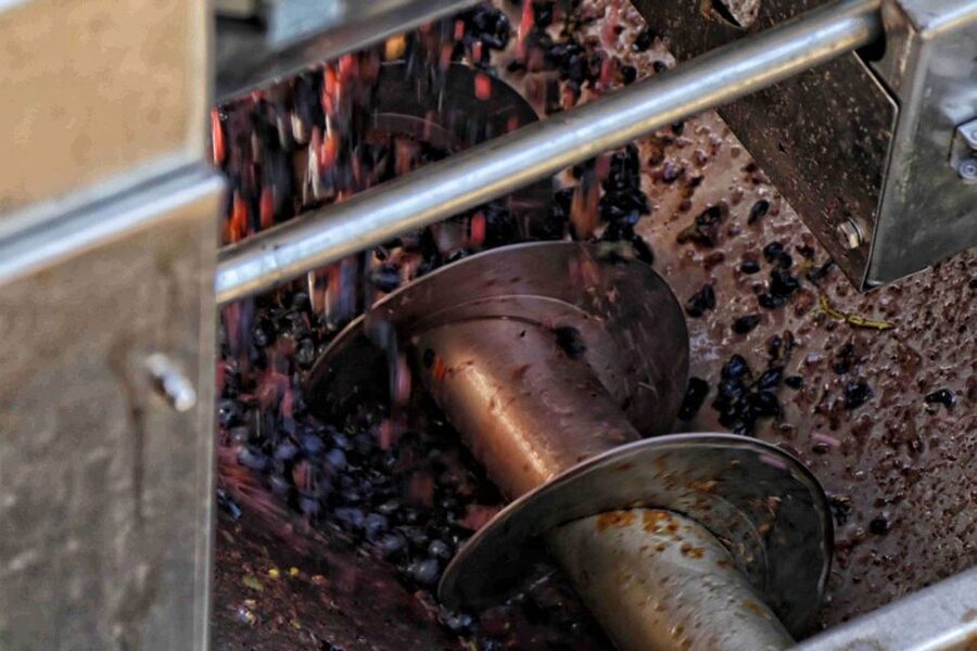 From Sorrento: Winery Tour, Tasting & Lunch - Sorrento to Pompeii: the clean way to reach a Vesuvius winery