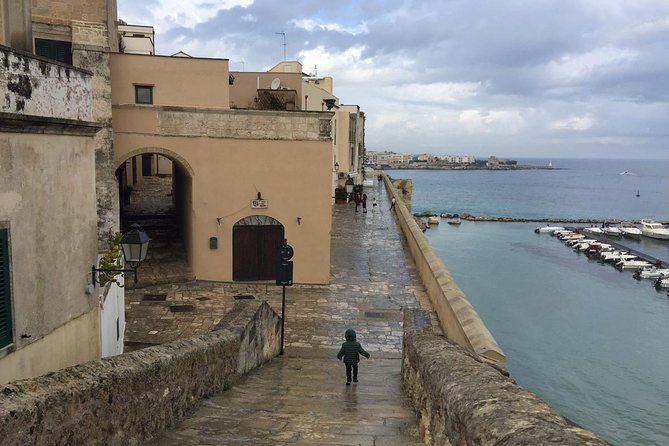 Full-Day Sorrento Positano Pompeii Tour - Positano for 1 Hour: Cliffside Houses, Photo Time, and Staying Flexible