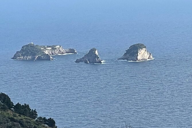 Full-Day Sorrento Positano Pompeii Tour - Should You Book This Pompeii–Sorrento–Positano Tour?