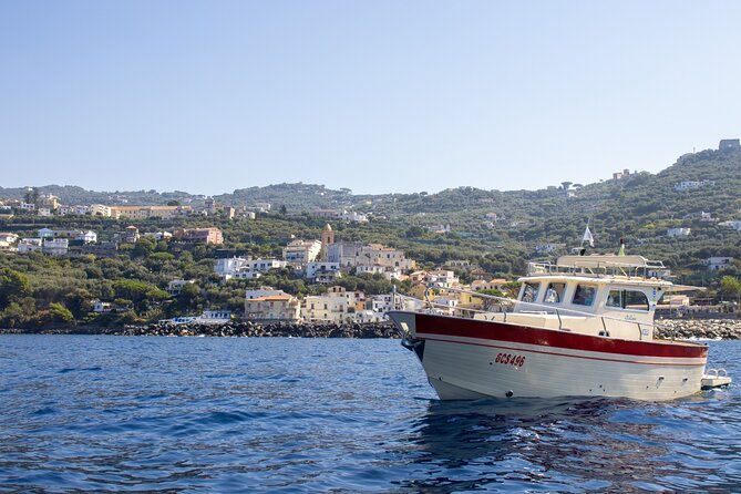 Group Capri tour , visit of caves, fishing legend and swimming - Punta Carena Lighthouse: a fishing-focused introduction to Capri