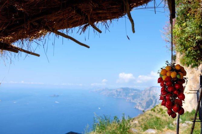 Guided Day Hike on the Path of the Gods with Sorrento Transfer - Key highlights before you go