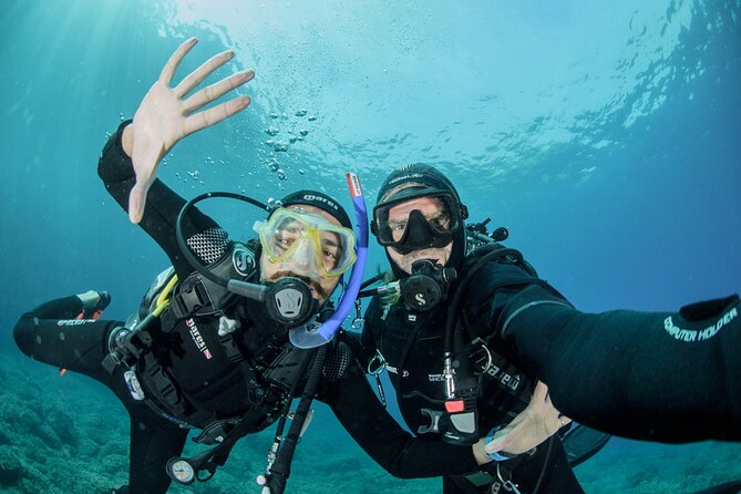 Guided diving for beginners without certification from Sorrento - Key takeaways before you book