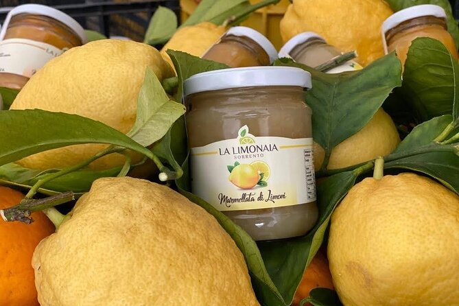 Guided tour of a historic lemon grove in Sorrento - Who Should Book This Lemon Grove Tour (and Who Might Skip)