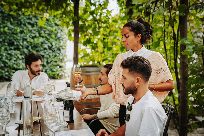 Guided Tour of Pompei, Lunch and Wine from Sorrento - Sorrento Pickup and Brand New Minivan: Less Stress, More Day