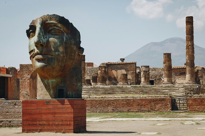 Guided Tour of Pompei, Lunch and Wine from Sorrento - Vesuvius National Park Lunch With Five Wine Tastings