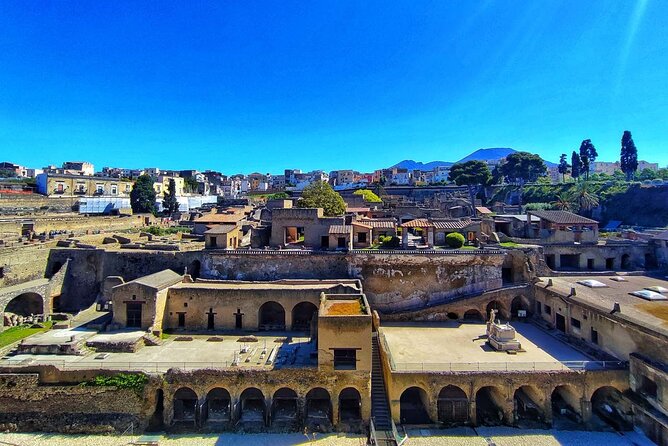 Guided Tour of Pompeii and Herculaneum with Lunch and Ticket - Winery lunch on Vesuvius: food, wine, and a break that matters