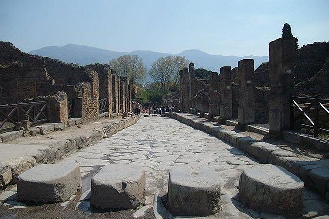 Guided Tour of Pompeii and Herculaneum with Lunch and Ticket - Herculaneum stops that make the details click