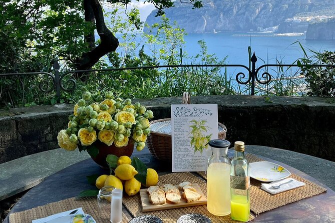 Guided tour of the history and tradition of the Sorrento lemon - Key highlights worth knowing