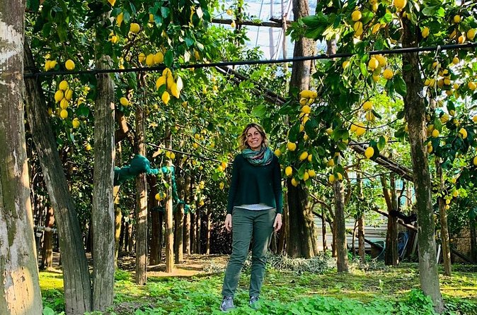 Guided tour of the history and tradition of the Sorrento lemon - Traditional Cultivation Techniques: What You’ll Actually Learn