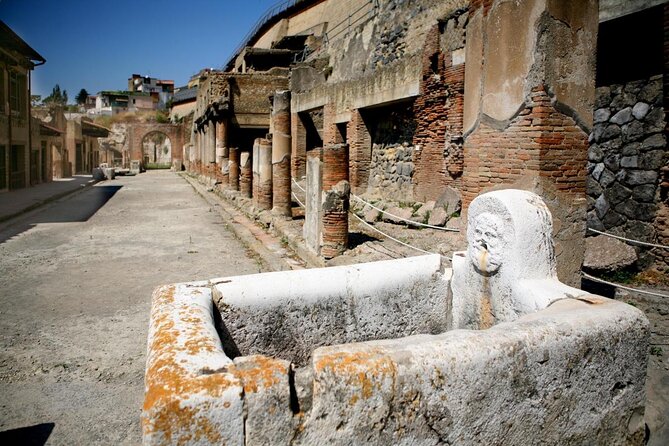 Half Day Morning Tour of Herculaneum from Sorrento - Why Herculaneum’s morning slot feels smarter