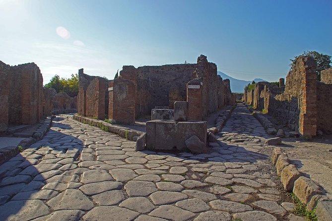 Half Day Morning Tour of Pompeii from Sorrento - The guide factor: when it’s excellent, it changes everything