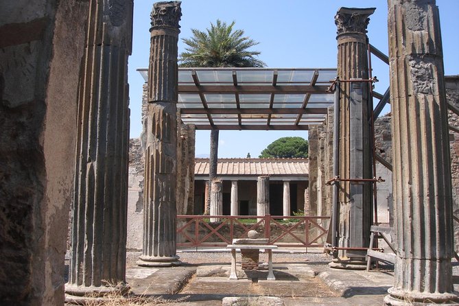Half Day Morning Tour of Pompeii from Sorrento - Practical tips for Pompeii comfort and photos