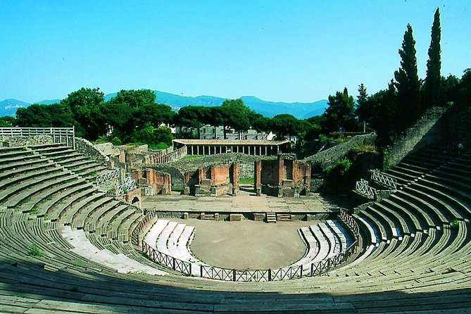 Half Day Morning Tour of Pompeii from Sorrento - Who should book this Pompeii morning tour