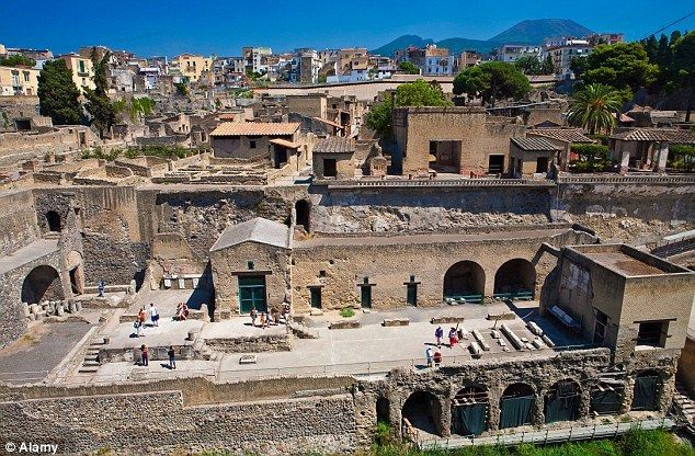 Herculaneum Skip-the-Line Tour From Sorrento - From pickup to the archaeological site: bus comfort that actually helps