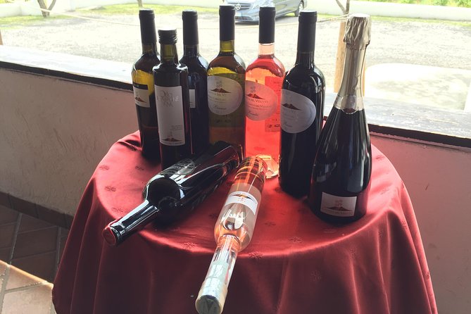 Herculaneum-Wine tour from Sorrento, with licensed guide included - Why Herculaneum Needs an English Guide