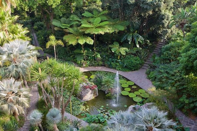 Ischia and La Mortella Gardens - Price and Value: Is $140.88 a Smart Buy?