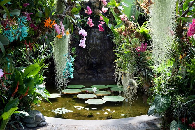 Ischia and La Mortella Gardens - Ischia in Six Hours: What You Can Expect (and What You Can’t)