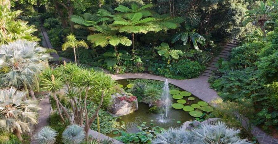 Ischia and Mortella Gardens Full-Day Tour from Sorrento - Sorrento to Ischia by hydrofoil: how this day stays efficient