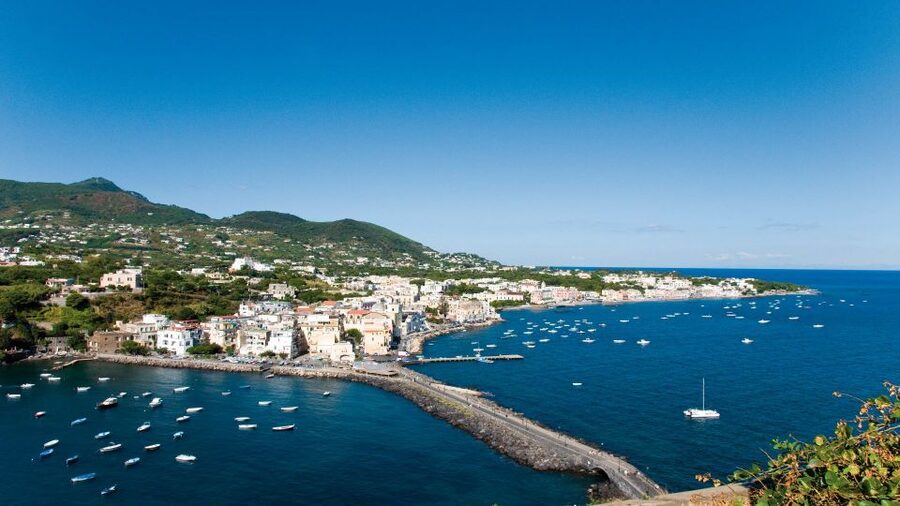 Ischia and Mortella Gardens Full-Day Tour from Sorrento - Who should book this Ischia and Mortella day tour?