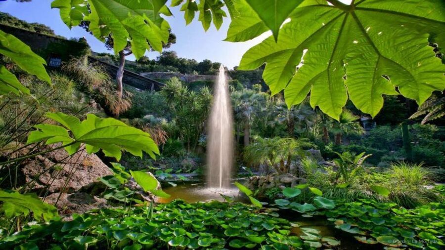 Ischia and Mortella Gardens Full-Day Tour from Sorrento - Guided Ischia island tour: villages, views, and a practical pacing