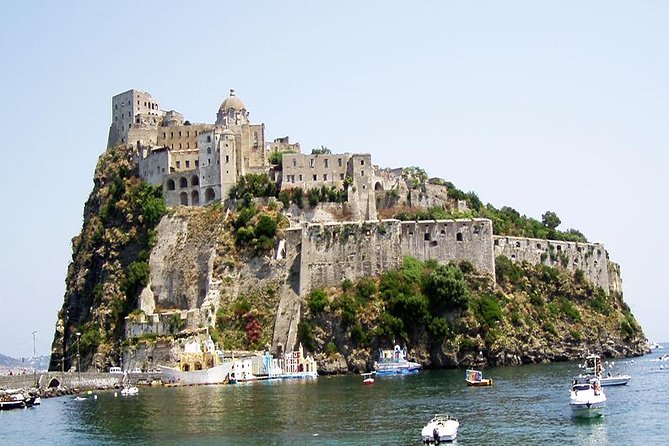 Ischia and Procida Boat Tour: Small-Group from Sorrento - Vivara, Terra Murata, and Procida’s coastal story from the water