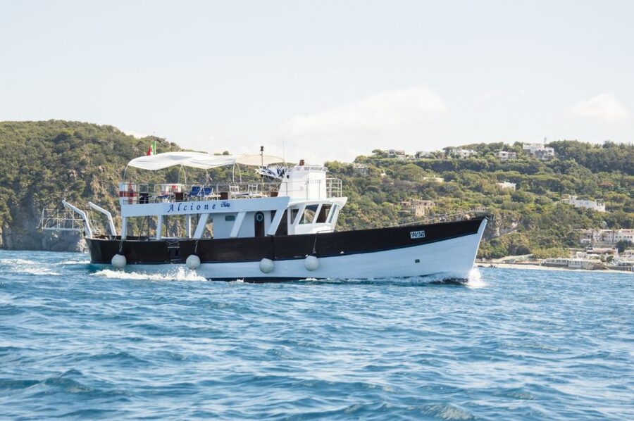 Ischia: Island Boat Tour with Neapolitan Lunch & Snorkeling - Green Grotto / Green Cave: The Swim Stop That Defines the Tour