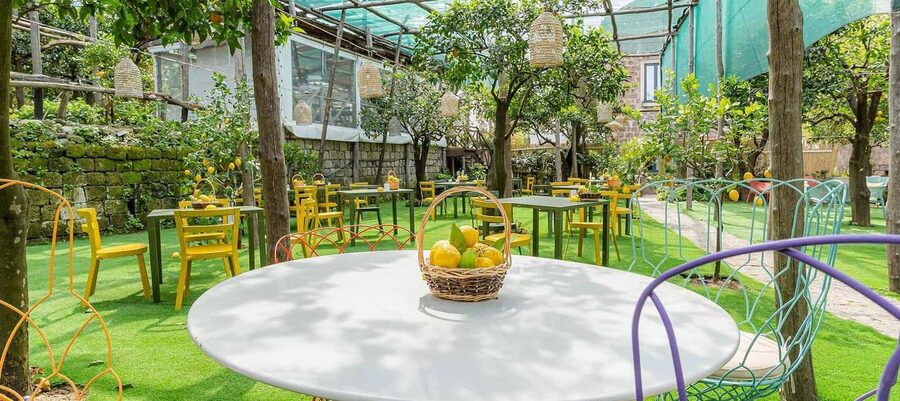 Lemon Tour with Lunch/Dinner - The Lemon Garden Walk: Growing, Production, and Why Citrus Matters