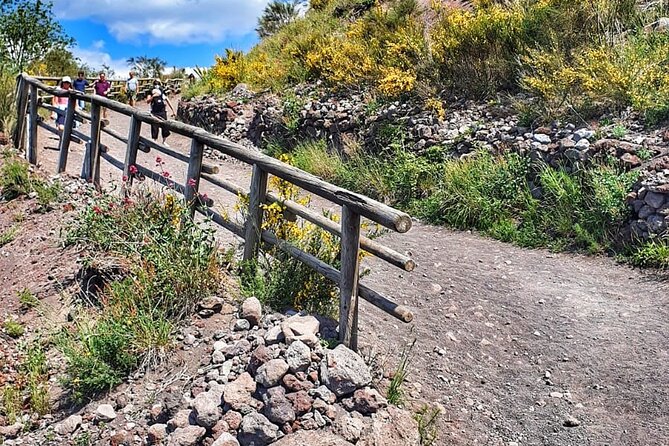 Mount Vesuvius Tour with Entry Ticket & Lunch - Lunch Plus Winery Time: What the Included Meal Feels Like in Practice