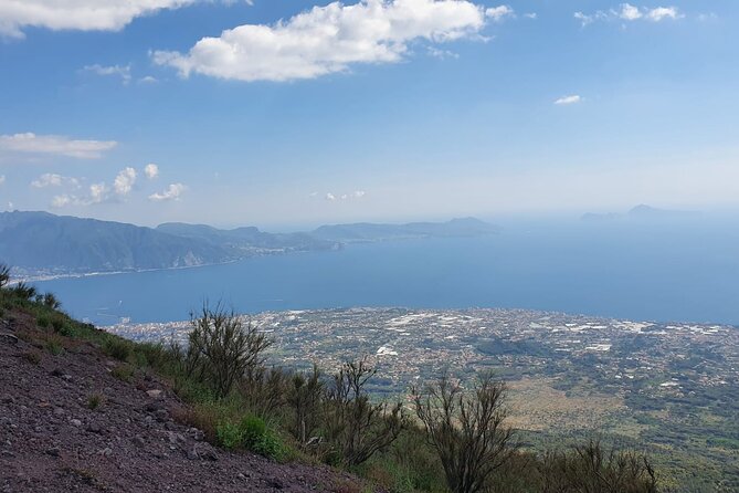 Mount Vesuvius Tour with Entry Ticket & Lunch - Price and Value: Why $107.17 Can Work for You