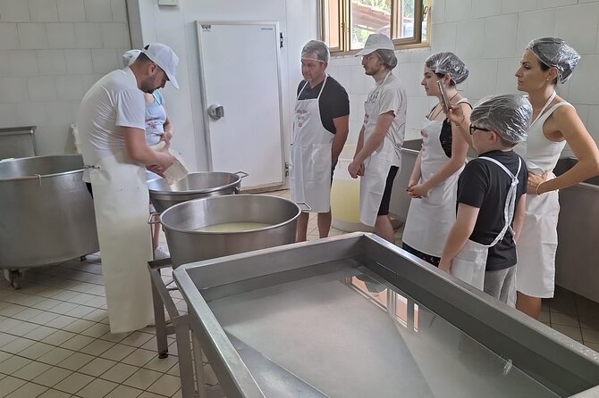 Mozzarella Experience with Tasting in Vico Equense - What’s on the Table: Starter, Cheese Spread, Wine, and Dessert