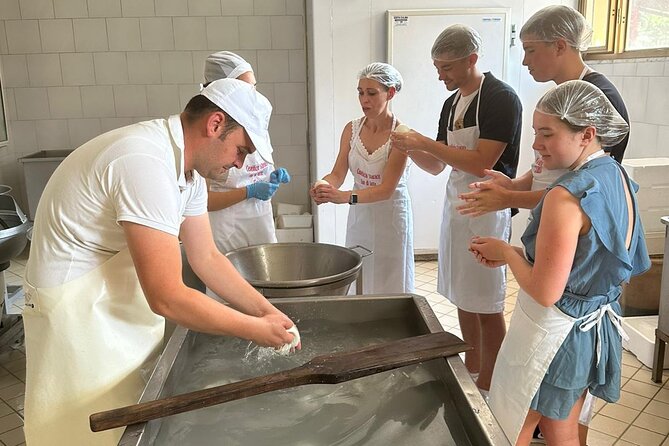 Mozzarella Experience with Tasting in Vico Equense - Getting Started at Caseificio Starace: The Meeting Point Feeling