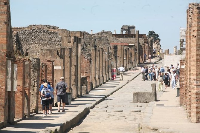 Mt. Vesuvius and Pompeii Full-Day Tour from Sorrento - Vesuvius hike to the crater: the view and the reality of the path