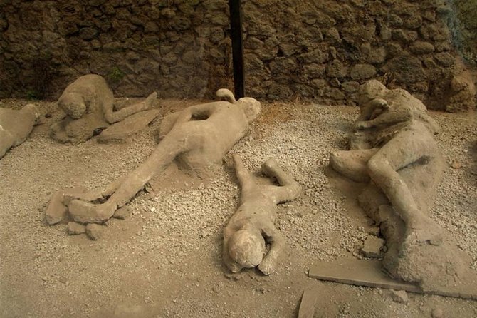 Mt Vesuvius and Pompeii Tour by Bus from Sorrento - Guides That Make or Break the Day (Tony, Roberta, Cinzia, and Fabiana)