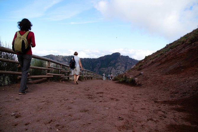 Mt Vesuvius and Pompeii Tour by Bus from Sorrento - Price and Value: Is $149.65 a Good Deal?