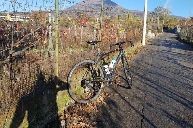 Mt Vesuvius E-Bike Tour - Leaving The Bikes: Walking the Crater Perimeter in the National Park