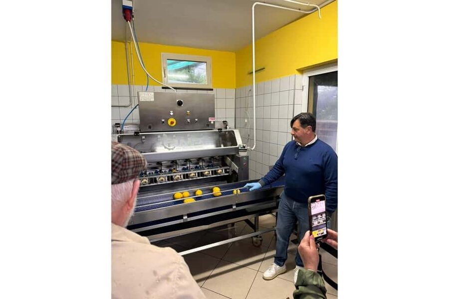Nonno Mario Lemon Tour - From the lemon path to the lab: peeling, squeezing, and tasting peel