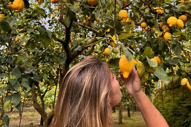 Nonno Mario Sorrento Lemon tour - Price and Value: What $77.44 Covers (And Why It Adds Up)