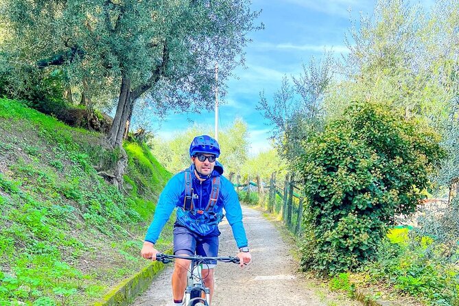 Oil and Lemon - Sorrento e-Bike Tour Experience - Quick take: oil, lemons, and hill views on an e-bike