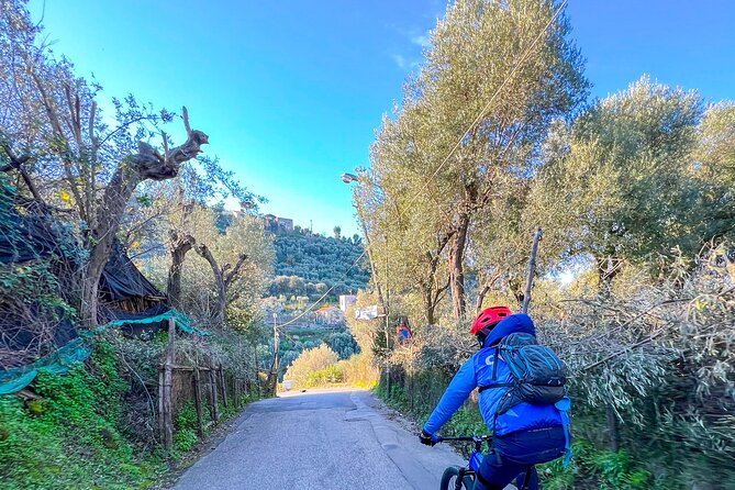 Oil and Lemon - Sorrento e-Bike Tour Experience - Why this ride makes sense in Sorrento