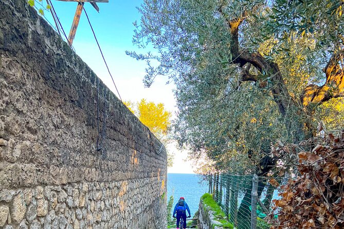 Oil and Lemon - Sorrento e-Bike Tour Experience - Tastings that go beyond basic olive oil