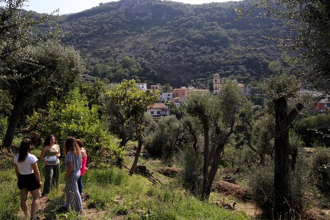 Olive oil tasting in Sorrento - Why the vinegar, honey, and marmalade tastings feel more Italian than a sales pitch