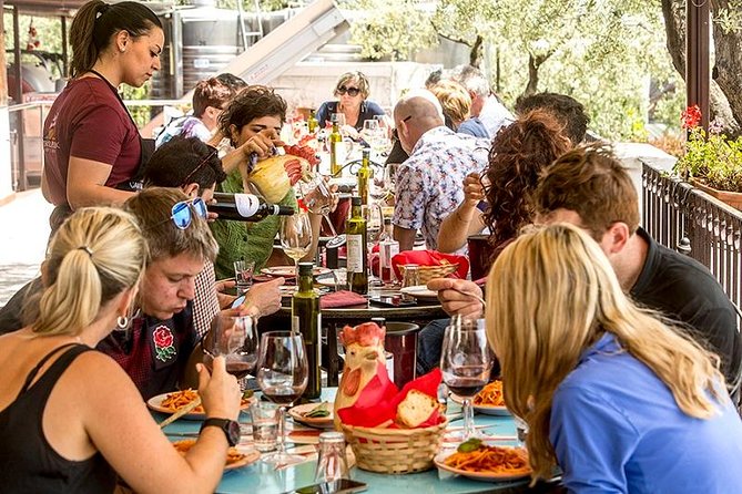 Organic Wine Tasting & Lunch on Vesuvius with Transfer from Sorrento Peninsula - Timing, Vehicle Comfort, and the Pace of Courses