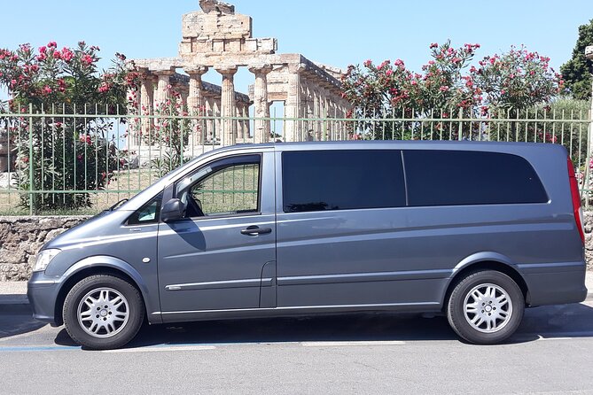 Paestum and Buffalo Farm Day Tour from Sorrento - Key Highlights to Know Before You Go