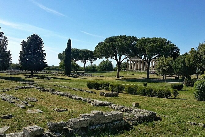 Paestum and Buffalo Farm Day Tour from Sorrento - Paestum and Velia: Two Hours With the Three Big Greek Temples