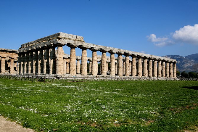 Paestum, Buffalo Mozzarella tasting and light lunch private tour - Lunch That Doesn’t Feel Like an Afterthought